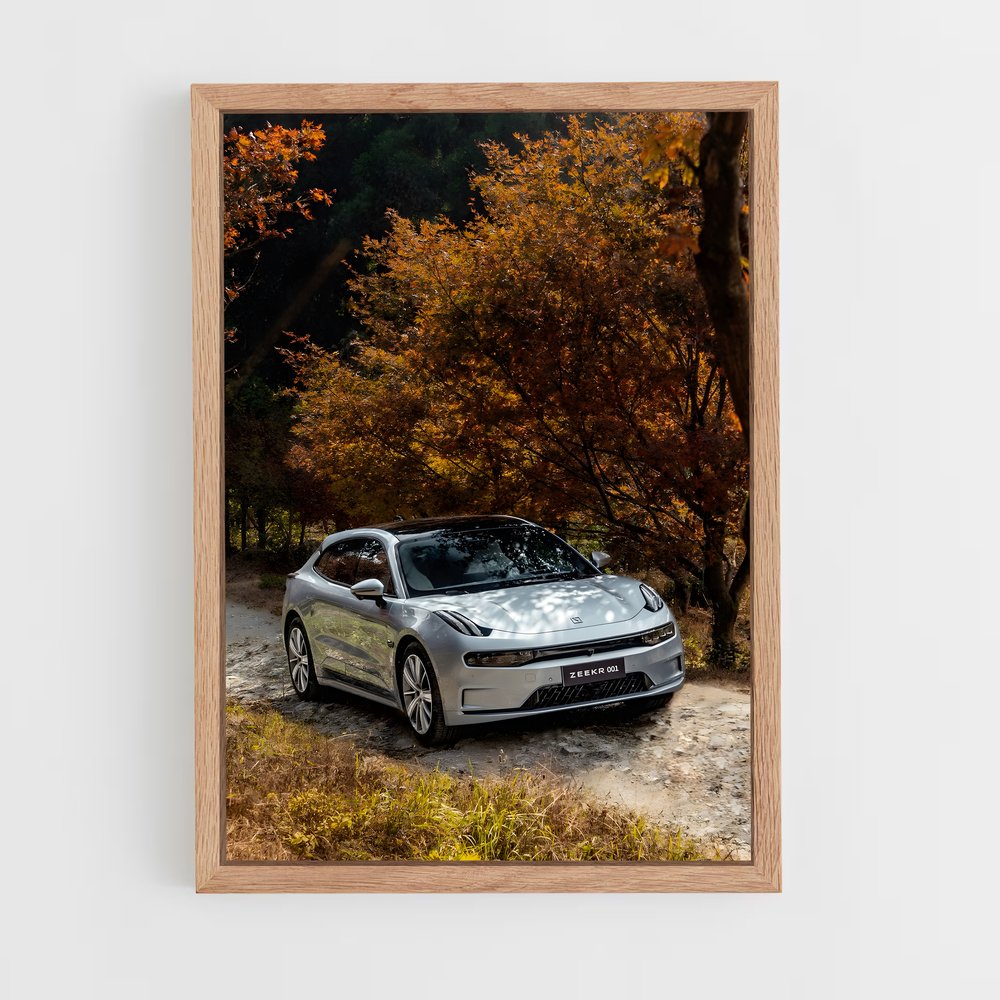 Poster Zeekr organique – affiche Geely (vue 4)